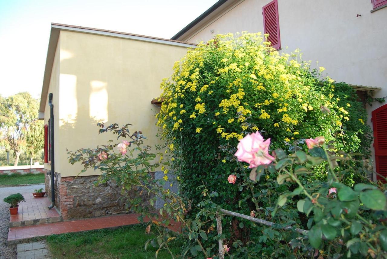 Casa Vacanze Guardamare San Vincenzo Exterior foto
